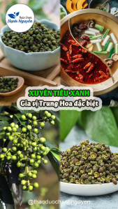 Xuyên tiêu xanh 100g (Hạt tiêu xanh gia vị lẩu cay tứ xuyên)