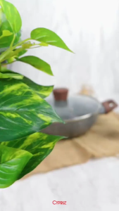 PASTI ORI - PANCI KUALI CYPRUZ GREY MARBLE SERIES: Panci Anti Gores Anti Lengket + Tutup