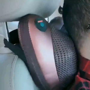 Car & Home Massage Pillow Multifunctional Electric Massager