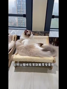 【COD】Sisal cat lounge chair hammock cat chair pet toy cat grab board