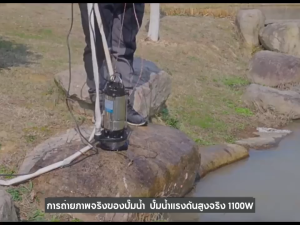 【TOP 1】DEKEE W076 ไดโว่ดูดน้ําสแตนเลส ปั้มแช่สแตนเลส 304 ไดโว่ดูดน้ํา ไดโว่ 1 นิ้วดูดโคลน ปั๊มจุ่มไดโว่ ปั๊มดูดน้ำ ไดโว่ 1 นิ้ว แรงๆ สแตนเลส ปั๊มแช่ 1 นิ้ว ปั๊มจุ่ม ไดโว่ ปั๊มน้ำ เครื่องสูบน้ำ ดูดโคลน