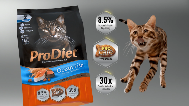 ProDiet 500g Ocean Fish Dry Cat Food x 6 Pack makanan kucing Lazada