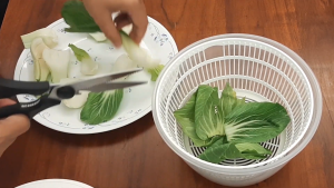 Pengering Buah dan Sayur Salad Spinner Manual Mangkok Putar Peniris Sayuran Serbaguna