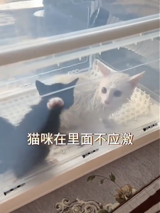 【New Product Launch Price】Pet Dryer Foldable Box Cat Pet Dog Bathing Smart Drying Box Hair Blowing Artifact