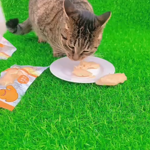 Pet Food Pet Treats Cat Treats Ready To Eat Boiled Chicken For Dog and Cat