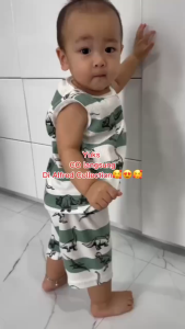 SET BAJU ANAK SINGLET DINOSAURUS BROCOSAURUS