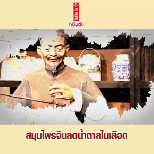 (ของแท้ 100%) หลินตังแคปซูลสมุนไพรจีน ลดเบาหวาน/ความดัน พร้อมส่ง 30 แคปซูล