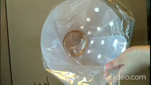 Vòng cổ chống liếm cho Chó Mèo thành cao có nhiều nấc điều chỉnh (mẫu mới) - Love Pets Shop