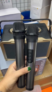 ลำโพงบลูทูธ รุ่นM300 แถมไมค์ลอย 2ตัว มีที่หิ้วพกพาง่าย รองรับ AUX/TF/USB เสียบไมค์สายเพิ่มได้  เสียงเบสแน่น