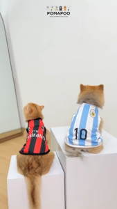 Club Foot Ball Tank - Baju Kucing dan Baju Anjing POMAPOO Premium Berkualitas