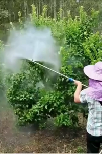 หัวพ่น 3 หัว สแตนเลส พร้อมส่ง ใช้พ่นยา พ่นน้ำ ใช้ได้ทั้งการเกษตรขนาดใหญ่และเล็ก