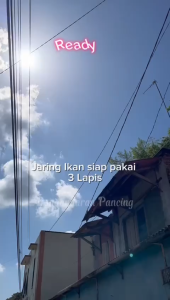 Jaring Ikan Siap Pakai 3 Lapis Tinggi Setengah Meter Panjang 50m Pemberat Timah Ukuran Senar Kecil Jaring Ikan Murah Jaring Pukat Jaring Ikan Bentang