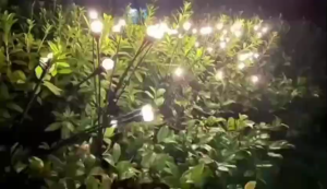 10/8/6 LED Solar Christmas Lights Outdoor Waterproof Solar Firefly Lights For Pathway Lawn Garden Decoration