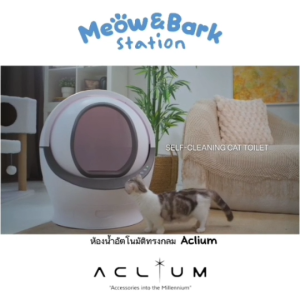 Aclium Self Cleaning Cat Toilet ห้องน้ำแมวอัตโนมัติ