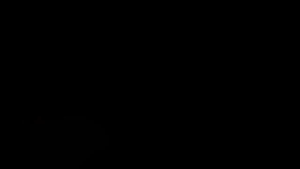 ACB LUCKY STAR 3in1 360 °Ceiling Fan With Light Bedroom Ceilingfan With Lamp