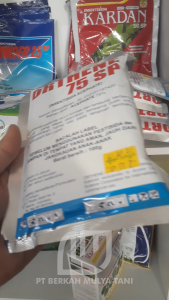 Insektisida Sistemik Orthene 75sp: Perlindungan Tanaman dari Serangga