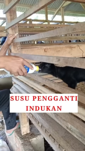 Susu Kalvolac + Dot Kambing Botol Dot Sapi Kalvolak Original Nutrifeed 1kg Anti Mencret Susu Cempe