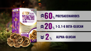 [2 Boxes] LABO Nutrition Bioactive Organic Yunzhi Ultra Turkey Tail + 7 Mushroom Extracts Supplement for Immune Health Recovery & Digestion Support with Lingzhi Yunzhi Cordyceps Sinesis Cordycep Militaris ABM Shiitake Maitake  • 90 Capsules