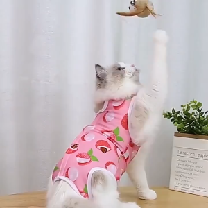 【Big savings】 Whisker Professional Cat Recovery Suit Female Cat Breathable Sterilization Suit Gown Clothes for Cat Supplies