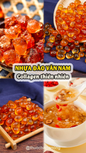 Nhựa đào Vân Nam 1kg lệ đào dai giòn nguyên liệu nấu chè dưỡng nhan - Lãn Ông