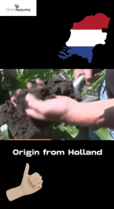 GHZ - Soil Smoother From Holland OEM Probiotic Organic Soil Mix Tanah Subur Hitam Organik 3KG