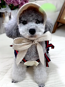 【Booming】 Whisker Cute Dog Hat Pet Cat Hat Windproof Travel Sports Sun Hat Cat Hat Pet Hat Cat Pet Dog Hat Small Dog Teddy Dog Sunscreen Sun Hat Rustic Wind De Dog Party Hat Pet Hat