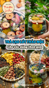 Trà gạo lứt thảo mộc mix sẵn 5-10 gói trà thảo mộc gạo lứt thanh nhiệt detox cơ thể - Lãn Ông