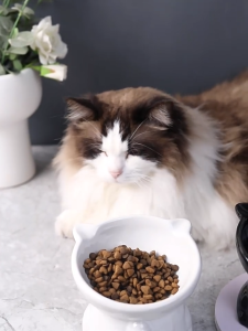 ชามเซรามิคยกสูงเอียง 15 องศาหน้าแมว ลายกระดิ่ง เซรามิค หมา สุนัข Bowl