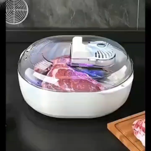 Frozen Meat Thawer Machine: Ultrasonic Atomization 6 in 1 Thawing Device