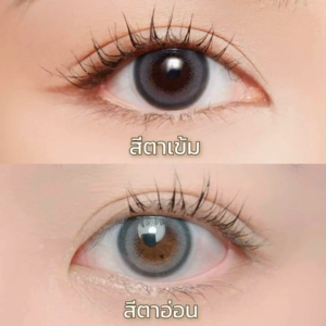 [มาใหม่] คอนแทคเลนส์สี รายวัน PEGAVISION รุ่น KAORI สี Clove Gray (10 เลนส์/กล่อง) Pegavision Contact Lenses Pegavision ราคา - Lazada