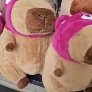 Thú nhồi bông capybara cosplay gấu dâu đáng yêu - Size từ 45cm đến 80cm - Quà tặng gấu bông chuột lang đội nón lotso êm mịn.