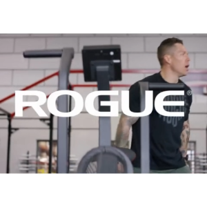 Rogue Echo Assault Exercise Bike