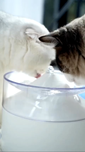 Pet Fountain Water Dispenser  Wireless Cat Water Dispenser Cat Water Fountain  Pet Drinking Bowl