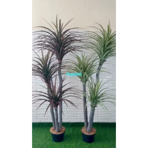 Pohon Artificial Tanaman Hias Pandan Bali X3 T180 Variasi Warna Hijau & Coklat Latex Pot Dasar Hitam Dekorasi Ruangan Aesthetic