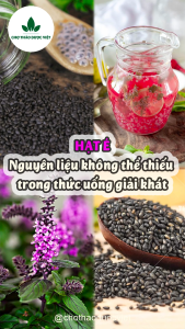 Hạt é nguyên chất 1kg (Nấu chè làm thạch sương sáo) - Chợ Thảo Dược Việt