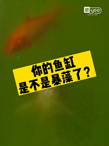 💠Stock 2028💠 YEE Algaecide Removal of Algae and Moss For Fish Tank