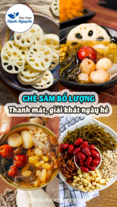 Sâm bổ lượng và tổng hợp 30 nguyên liệu nấu trà sâm trà bí đao set trà mix sẵn mát gan thanh nhiệt cho cả gia đình - Thảo Dược Hạnh Nguyên