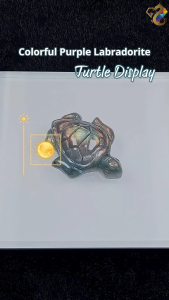 Collectors Grade Natural Colorful / Colorful Purple Labradorite Turtle Display