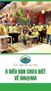 Bàn Chân Xếp Học Sinh Sinh Viên Vân Gỗ Gấp Gọn - Bàn Ngồi Bệt Đa Năng Tiện Dụng Chính Hãng