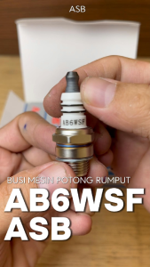Busi mesin potong rumput ASB AB6WSF