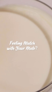 HANASUI Mattedorable Lip Cream Matcha Latte Edition