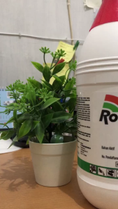 Roundup Herbisida 486SL 1 Liter Pembasmi Rumput Liar & Gulma Obat Tanaman