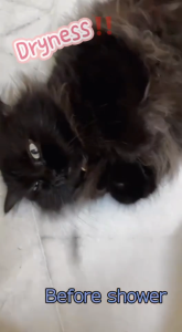 PineFur Shampoo Trial Pack 100ml for Pet/ Soothing/ pH Balanced/ Moisture/ Skin Health