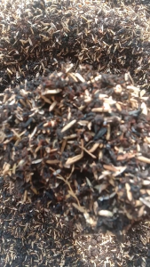 Promo media tanam premium pupuk lengkap paket 5kg