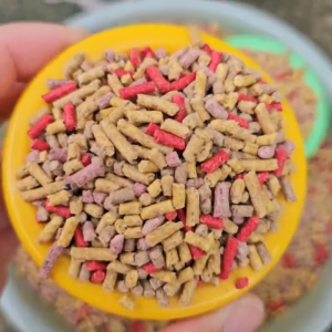 Chén Ăn Nhựa Chống Lật Cho Chuột Hamster Nhím Sóc Bay Úc Thú Cưng Nhỏ....