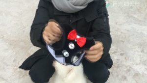 Tali tuntun rompi pita anjing kucing kecil sedang jalan jalan adjustable