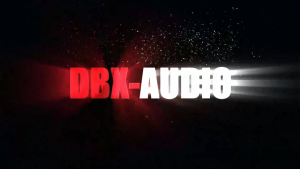DBX-AUDIO 234XL/234XS/223XS/238XL/223XL ตัวแบ่งความถี่ระดับมืออาชีพ การแบ่งความถี่สองทางและการแบ่งความถี่สามระดับมืออาชีพ ตัวเชื่อมต่อ XLR สามารถรับรู้สเตอริโอ 2/โมโน ตัวแบ่งความถี่อิเล็กทรอนิกส์ประสิทธิภาพเวที