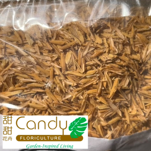 (SG Seller) Rice Hulls/Husk for Plants 2L (Usagi) 稻壳