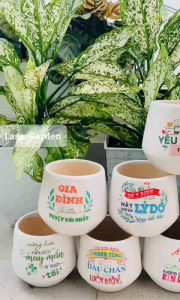 Chậu Trồng Cây Bằng Sứ Kèm Dĩa Thích Hợp Trồng Cây Sen Đá Xương Rồng Cây Cảnh Mini Để Bàn In Chữ Nội Dung Theo Yêu Cầu