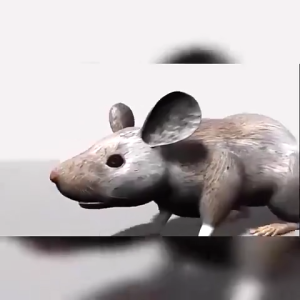 300x Stronger Rat Killer Poison Pellet: A Safe & Effective Solution